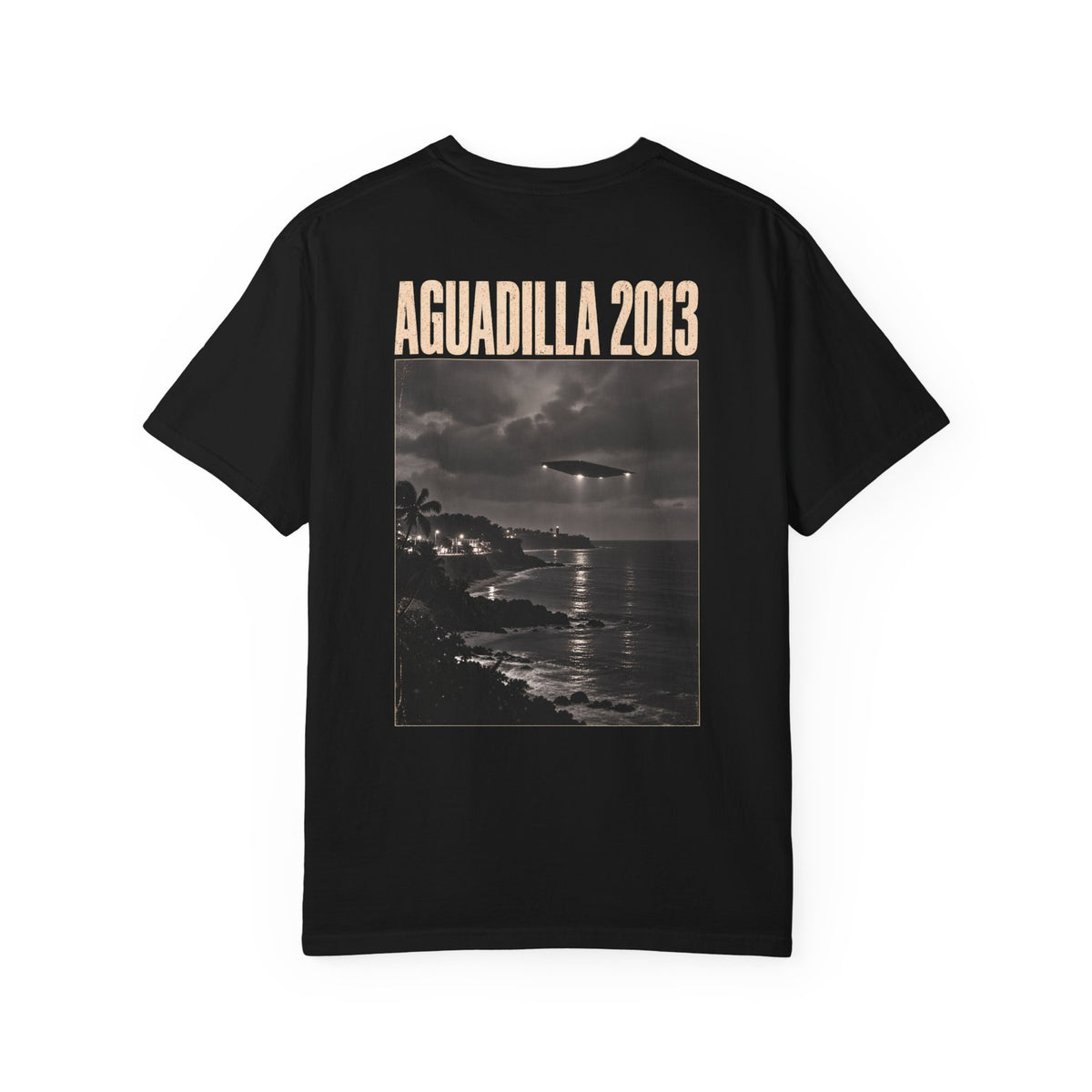 Aguadilla 2013 T-Shirt | GLITCHED Timeline Edition