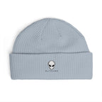 Alien Visitor Cable Beanie | GLITCHED