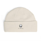 Alien Visitor Cable Beanie | GLITCHED